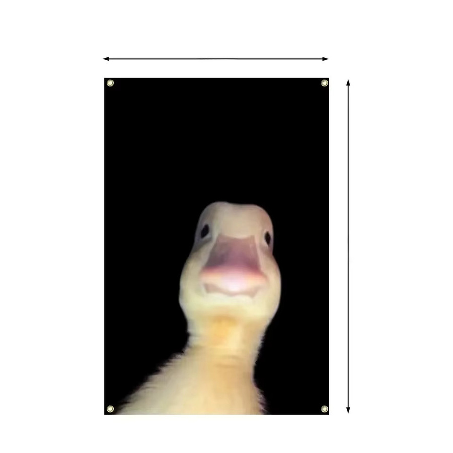 Lustiger Wandteppich mit Enten-Meme Welcome to My Crib Banner für deine College-Schlafsaal-Dekoration, Breite: 60,96 cm, Höhe: 60,96 cm - Bild 2