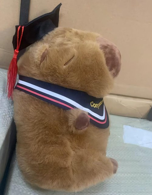 Binchi Fitness Abschluss-Capybara Plüschtier, 23cm, ab 14 Jahren - Bild 1