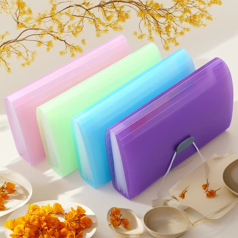A6 Mini-Ordner mit 13 Fächern als transparenter Dokumenten-Organizer in Bonbonfarben (Lila/Multicolor) - Bild 2