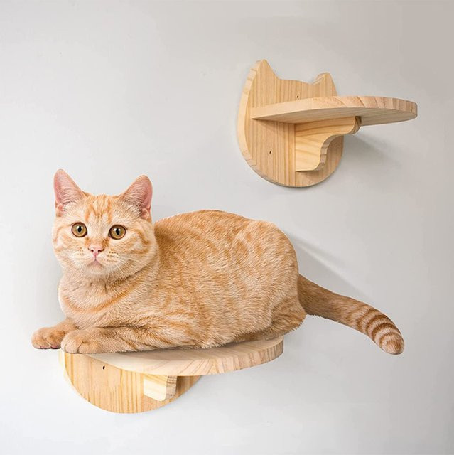 CWV Wandregal für Katzen aus Holz in Beige mit Katzengesicht-Design als Kletterstufen und Schlafbett - Bild 1