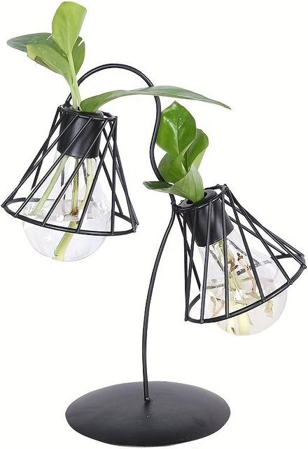 SZ-Damai Transparente Glasvase für Trockenblumen und Hydrokultur aus Glas und Eisen zur Tischdekoration - Bild 1