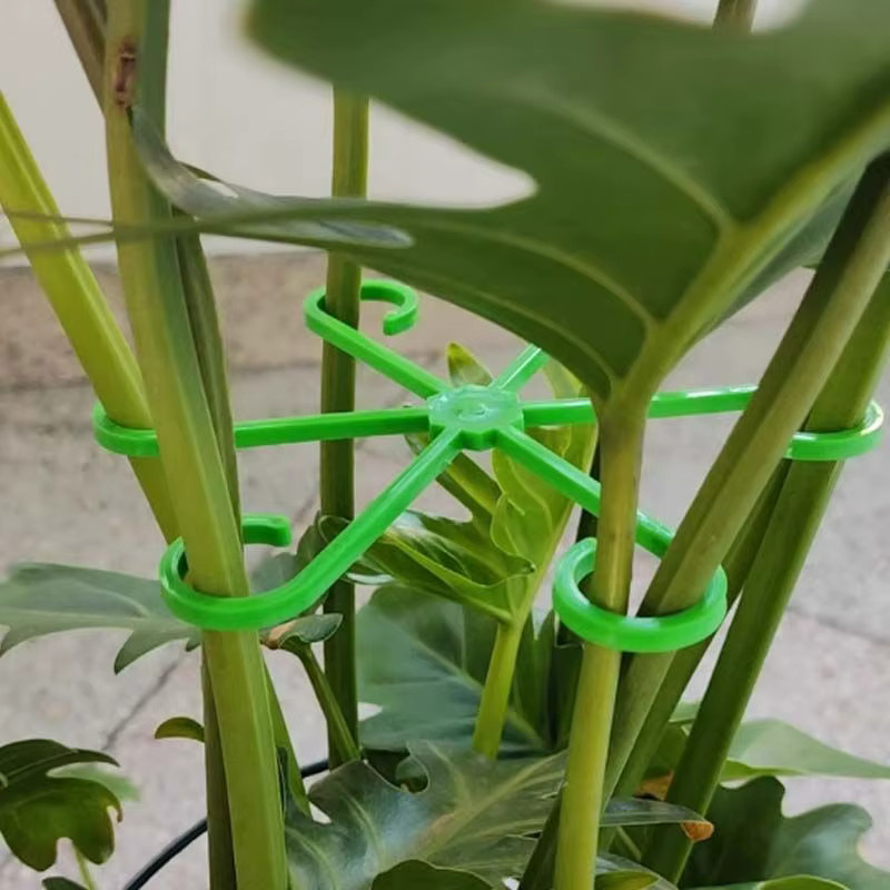 Grüne Kunststoff-Spalierklemmen zur Unterstützung von Kletterpflanzen und Zweigen für die Hydrokultur - Bild 4
