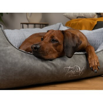 TrendPet VitaBed Style orthopädisches Hundebett in Grau mit abnehmbarem Bezug und erhöhten Rändern in Größe L - Bild 4