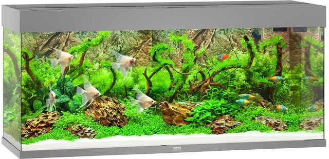 Juwel Aquarium Rio LED 240 in Grau - Bild 1
