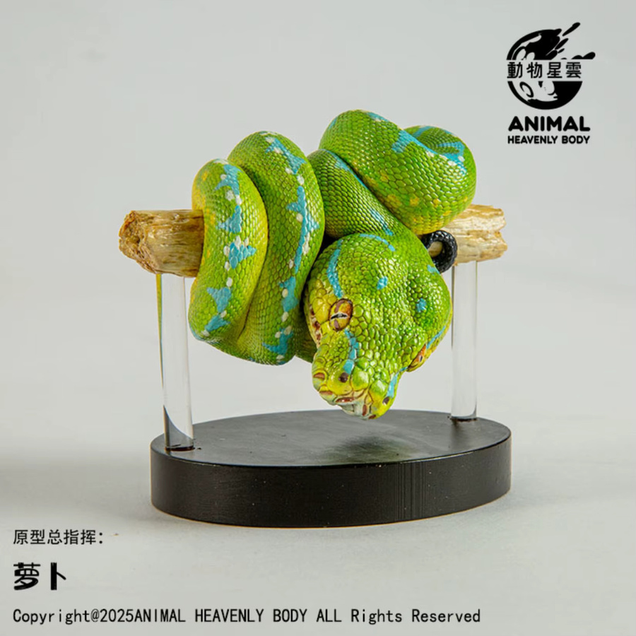 ANIMAL HEAVENLY BODY Studio Nr. 26 Schlangenmodell, ab 8 Jahren - Bild 2