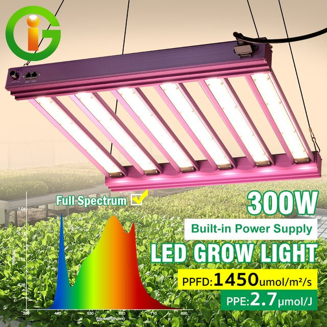 GRAXIDEA LED-Pflanzenlampe Vollspektrum in Schwarz, dimmbar mit Daisy-Chain-Funktion und integriertem Netzteil für Indoor-Gärtnerei - Bild 1