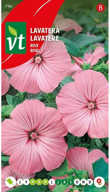 Arborix Bechermalve Rose Saatgut mit rosa Blüten, 0,75 g - Bild 1