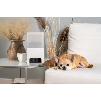 Petcube Camera Bites 2 Light Interaktive Haustierkamera in Weiß - Bild 2