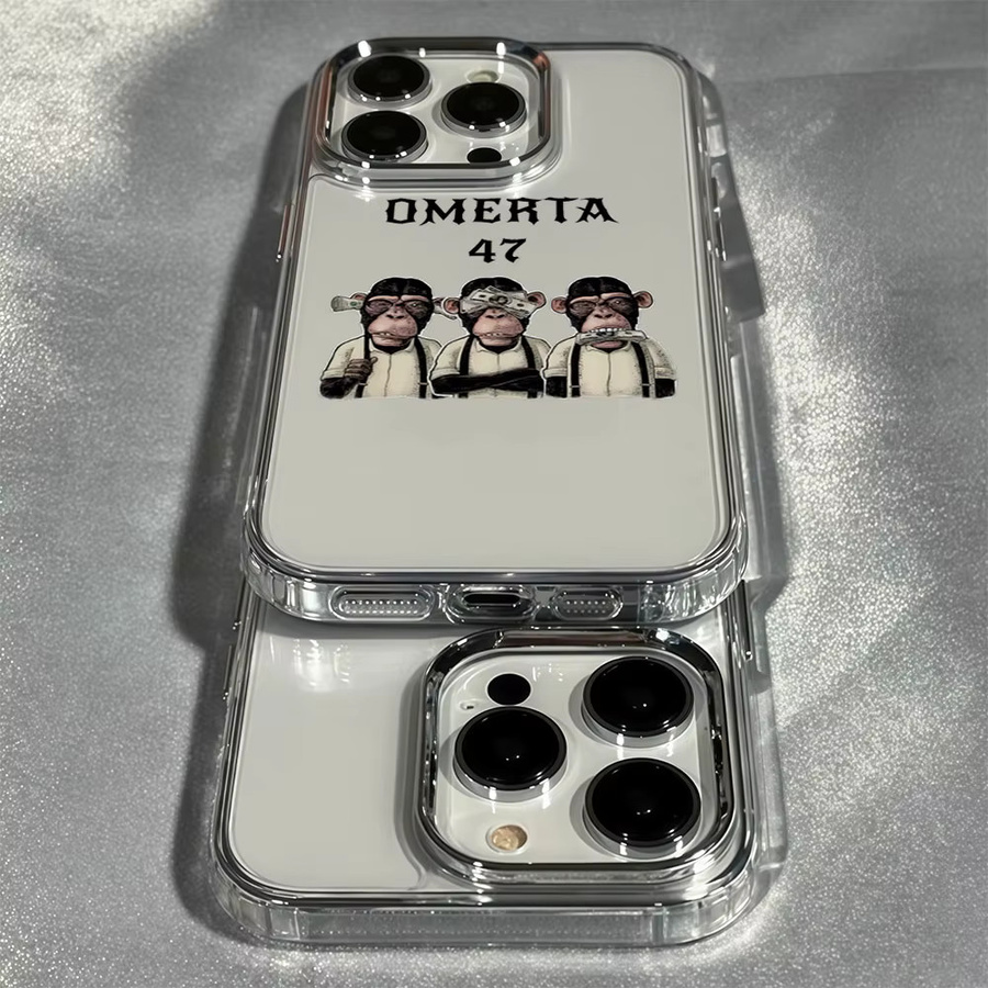 Aurbe Transparente Handyhülle mit silbernem Linsenrahmen für iPhone 17 16 15 14 13 12 11 Pro Max und 16E - Bild 3
