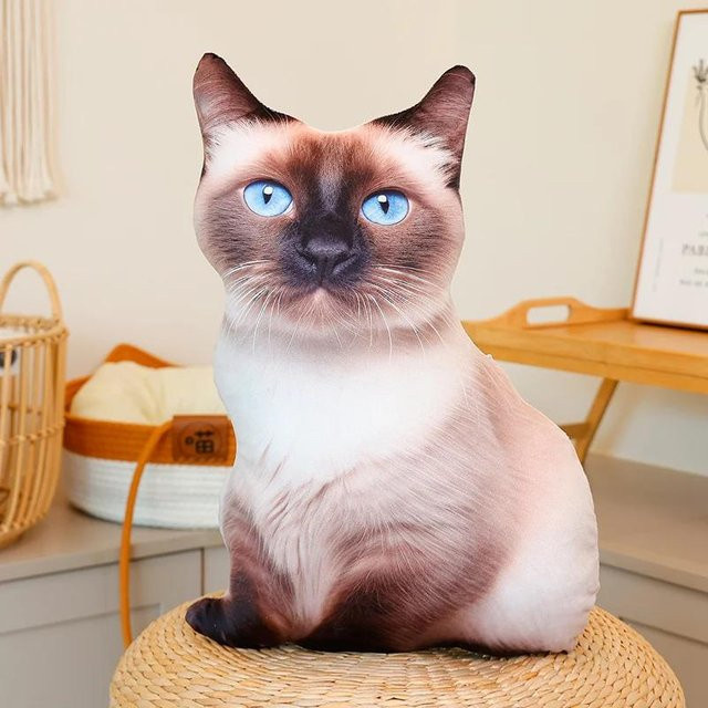 Kidsly Katzen Plüschtier, Stofftier, 48cm, Bunt / Mehrfarbig - Bild 1