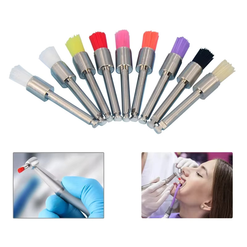 DENTWORLD Dental-Prophy-Bürsten, Nylon, 100 Stück, Einweg-Latch-Typ - Bild 3
