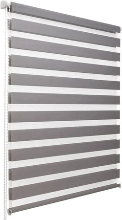Sol Royal SolDecor DL2 Doppelrollo Grau B: 60 cm, H: 220 cm