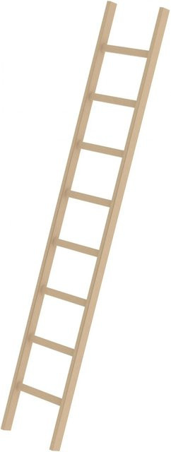 Günzburger Holz-Anlegeleiter mit 8 Sprossen in Beige - Bild 1