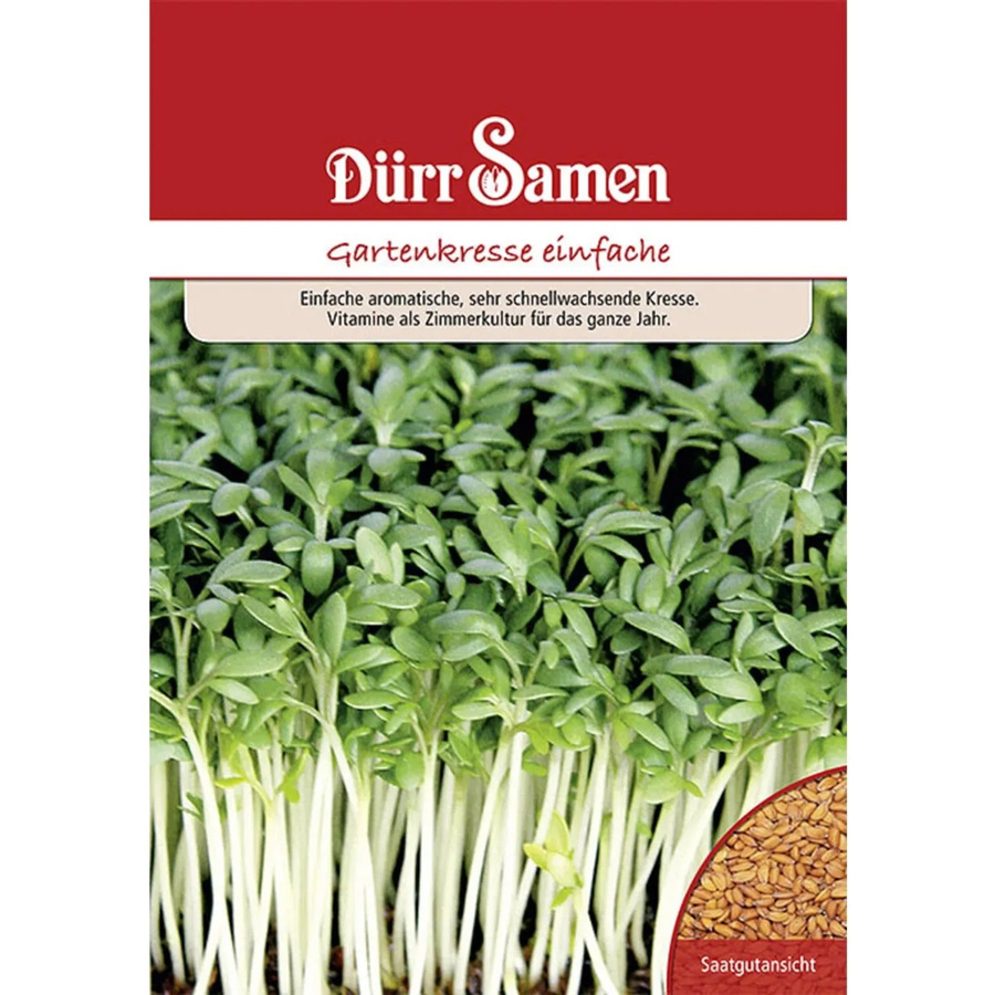 Dürr Gartenkresse Saatgut für Zimmerkultur und Freiland, 250 g - Bild 2