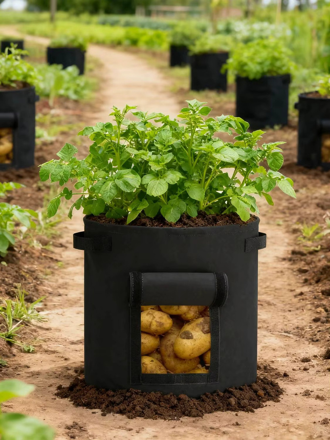 SPONDWILD Pflanzbeutel Grow Bag aus Kunststoff für den Gemüsegarten, Schwarz - Bild 2