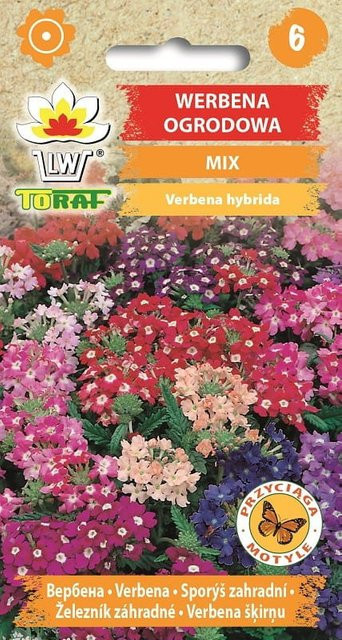 TORAF Gartenverbena-Mix Blumensamen Mehrfarbig 0,3 g - Bild 1