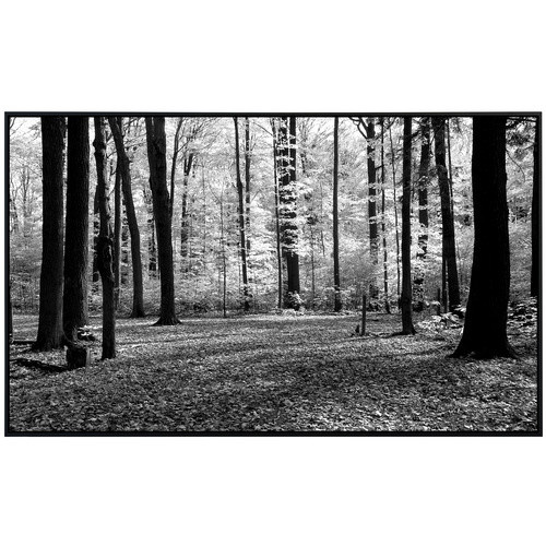 papermoon EcoHeat Infrarotheizung Wald Schwarz Weiss mit App-Steuerung und Überhitzungsschutz - Bild 2