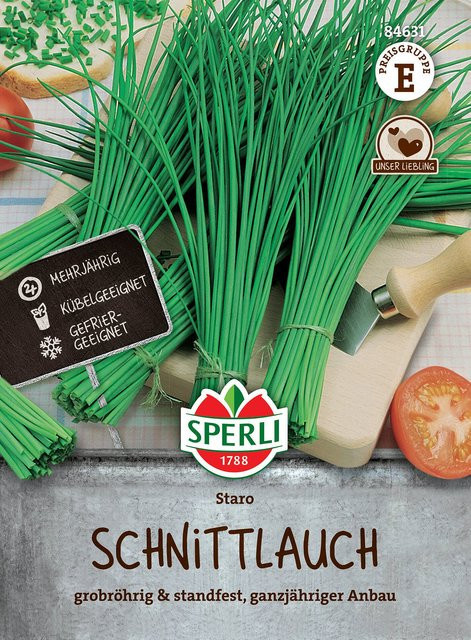 SPERLI Schnittlauch-Samen Staro für den Kräutergarten - Bild 1