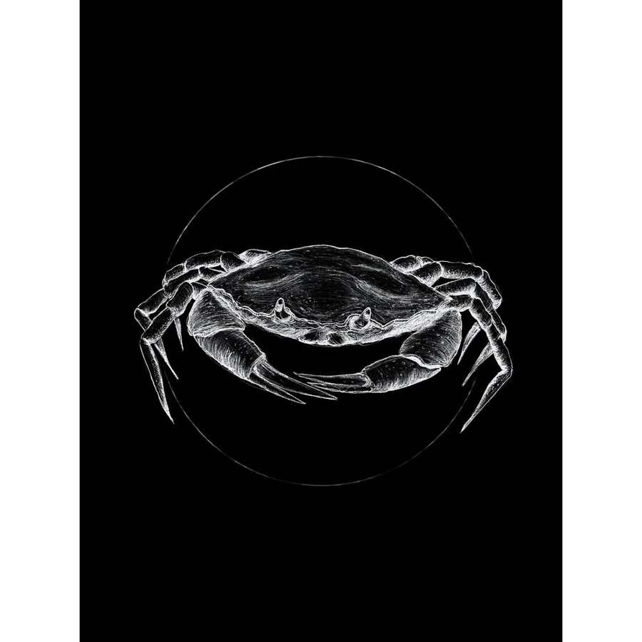 Komar Wandbild Crab Black aus Qualitätsvlies, Breite: 30 cm, Höhe: 40 cm - Bild 2
