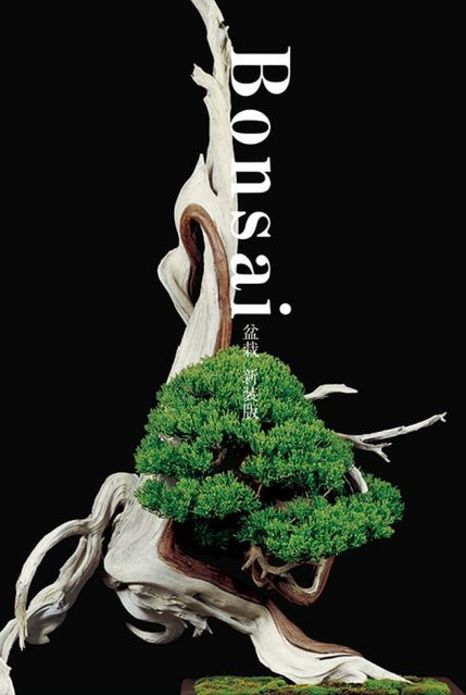Bonsai Bonsai, Neue Ausgabe - Bild 1