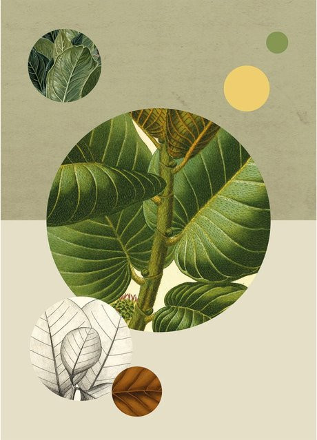 Komar Wandbild Green Structure in Grün, Poster aus Qualitätsvlies, Breite: 50 cm, Höhe: 70 cm - Bild 1