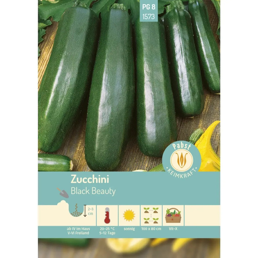 Pabst Keimkraft Zucchini Black Beauty Saatgut für den Freilandanbau - Bild 2
