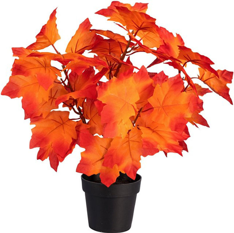 Viva Domo Deko-Ahornbäumchen in Orange für die Herbstdekoration - Bild 1