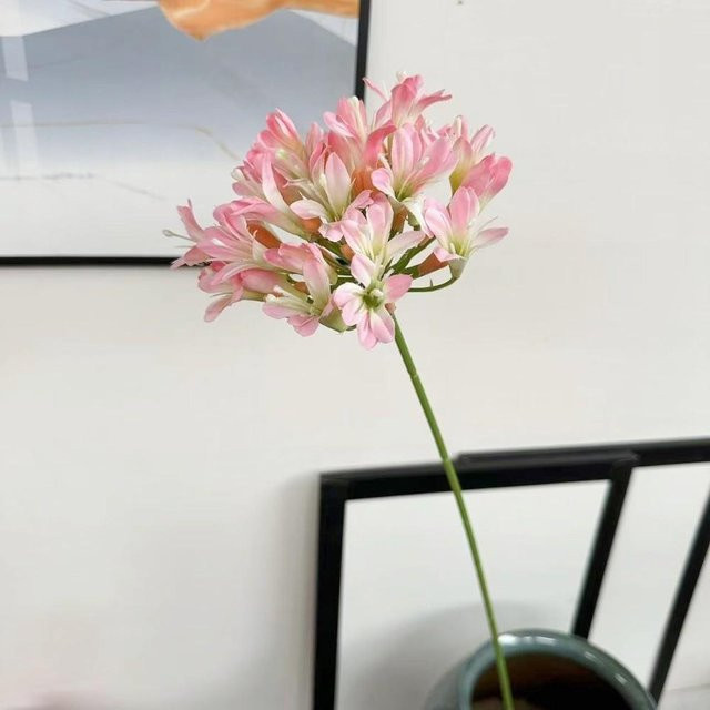 Künstlicher Agapanthus Zweig von Cove Home in Pink, Höhe: 75 cm - Bild 1