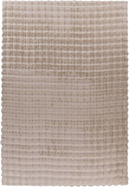 Padiro Hochflorteppich Hailey 125 in Beige, B/H/L: 160 x 3 x 230 cm - Bild 1