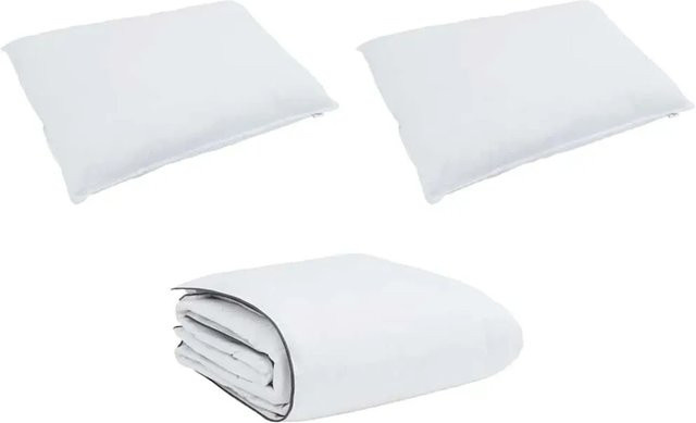 vidaXL Winterbettdecke mit Kissen Set aus Daunen und Federn, Weiß, 3-teilig - Bild 1