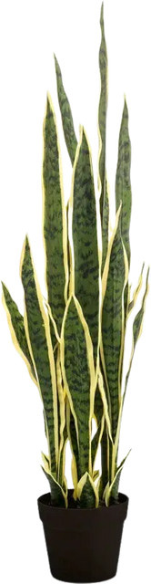 Künstlicher Bogenhanf Jana von Aplanta, Höhe: 97 cm - Bild 1