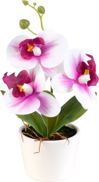 Künstliche Orchidee von viva domo in Lila und Weiß als Topfpflanze für den Tisch - Bild 1