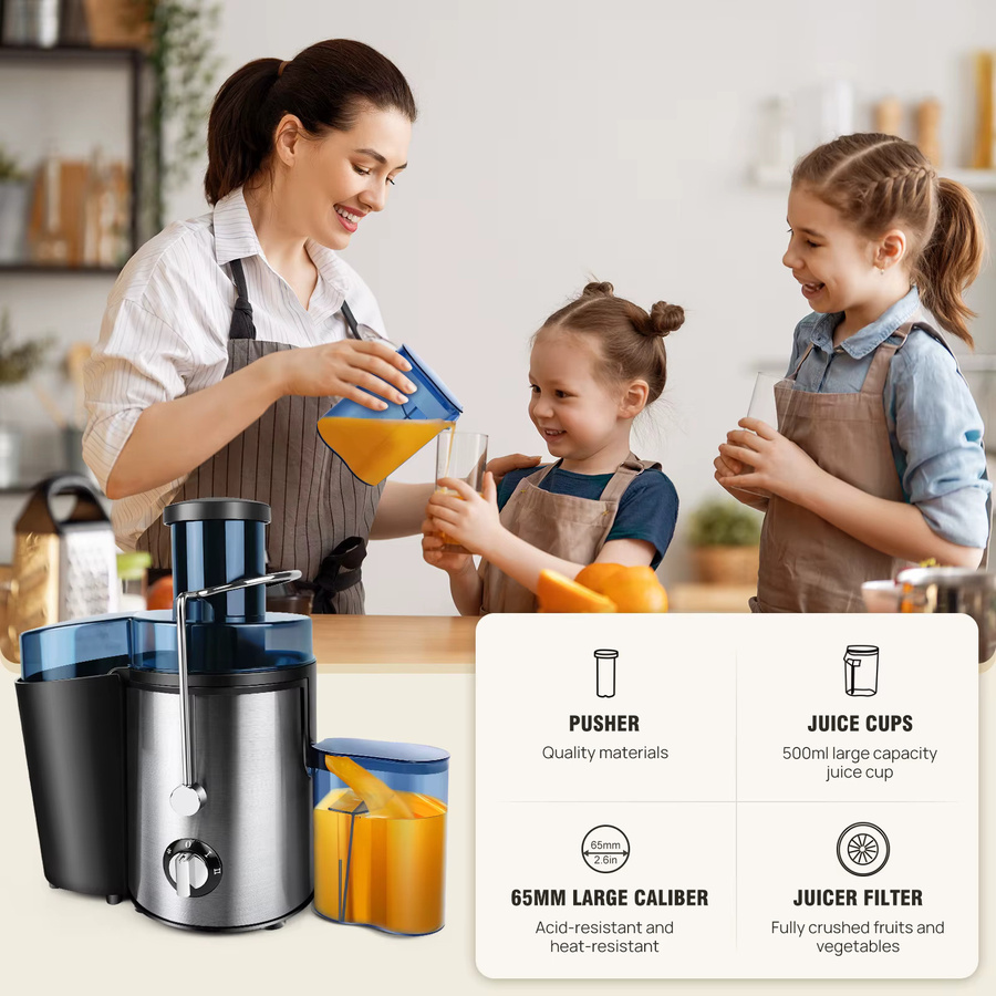 DayPlus Elektrische Entsafter-Maschine aus Edelstahl mit 1000 W, Zentrifugalsaftpresse in Silber, 500 ml Fassungsvermögen und 2 Geschwindigkeiten - Bild 6