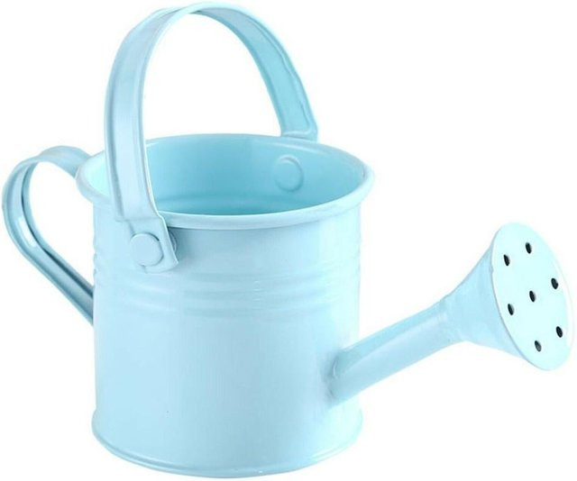 InneteVigo Gießkanne aus Metall im Kawaii Vintage Blumen-Design mit langem Auslauf, Hellblau - Bild 1