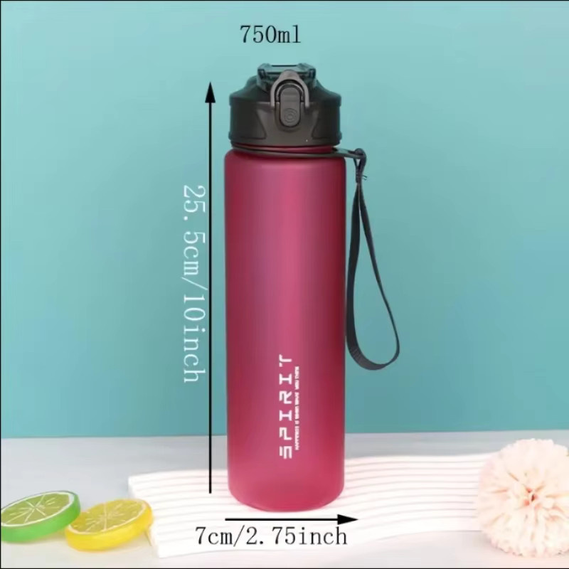 Grinkwell Frosted Sportwasserflasche aus BPA-freiem PC mit Silikonstrohhalm und Trageseil, Schwarz, 750 ml - Bild 2