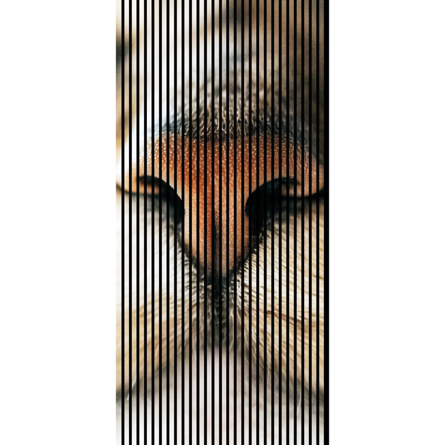 FN Acustico Akustikplatte Cat 1 aus PET und MDF in Bunt, H x B x T: 2.400 x 1.133 x 19 mm - Bild 2