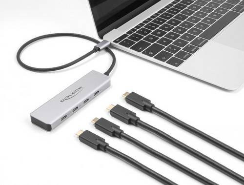 Delock USB-C Hub USB 3.2 Gen2 mit 4 USB-C Buchsen 10 Gbps Grau 64231 - Bild 2