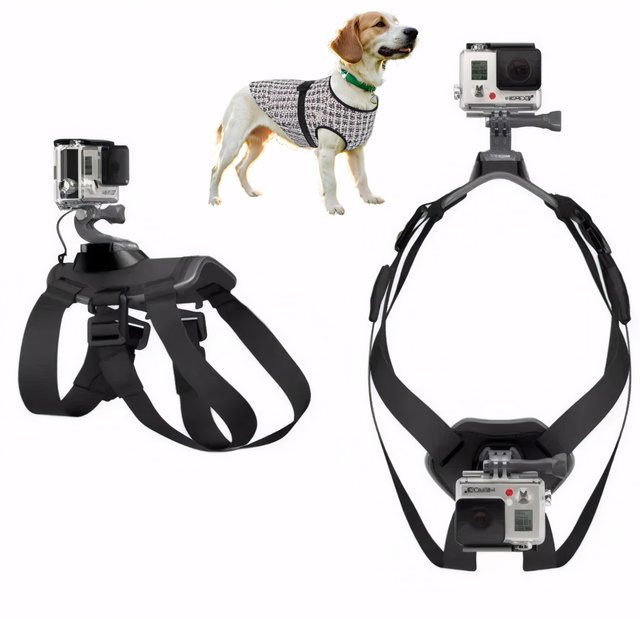 Verstellbares Hundegeschirr als Brustgurt für GoPro und Sportkameras in Schwarz - Bild 1