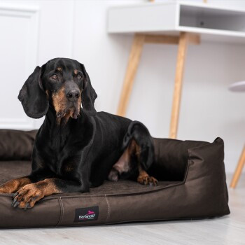 Tierlando GOOFY Orthopädisches Hundebett aus Polyester mit Matratzenschoner, braun, B: 110 cm, T: 90 cm, H: 22 cm - Bild 3