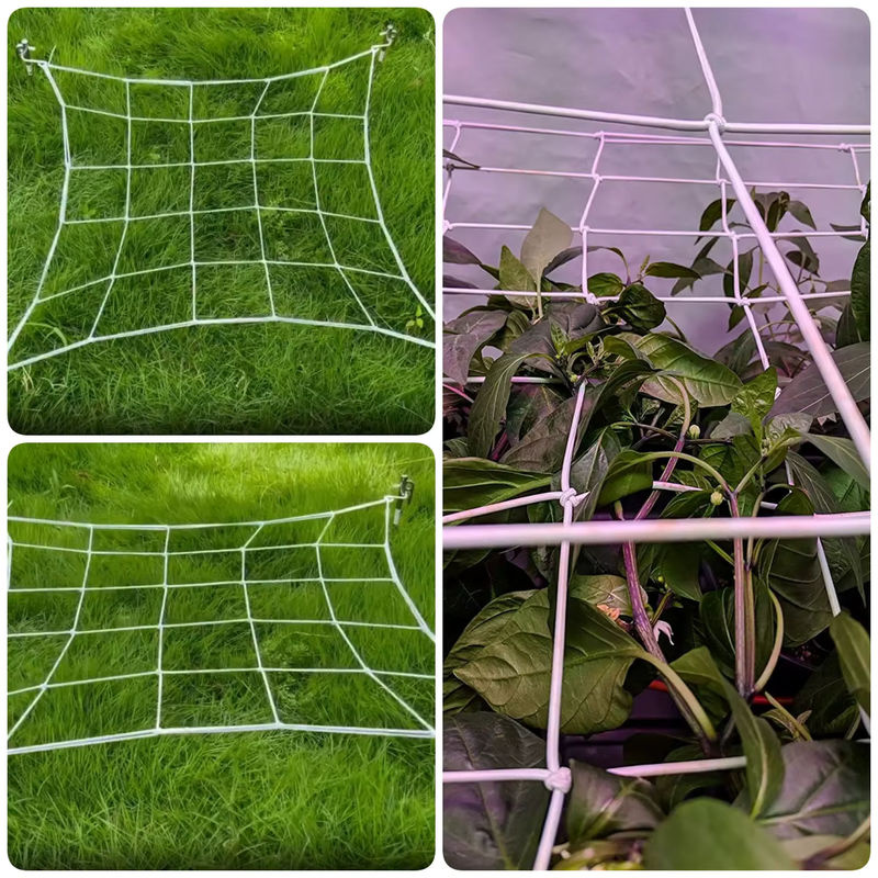 Elastisches Pflanzenzelt als Garten-Spalier und Wachstumsnetz für Blumen und Gemüse in Schwarz, B/T/H: 40 x 40 x 40 cm - Bild 5