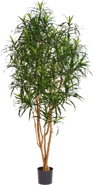 Künstlicher Drachenbaum Hauke von Aplanta, Höhe: 180 cm - Bild 1