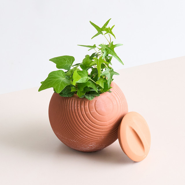 Kikkerland Terrakotta-Pflanzgefäß für den Tisch in Braun Mixed - Bild 1