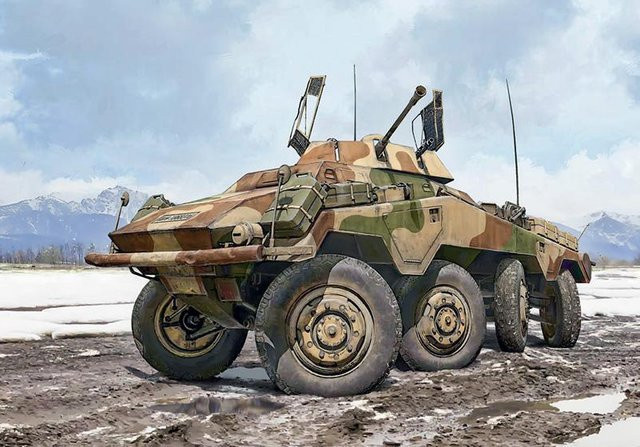Italeri Dt. Sd.Kfz.234/1 (2cm), Fahrzeug - Bild 1