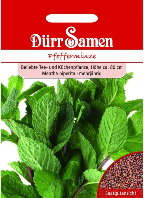 Dürr Pfefferminze Saatgut für die Aussaat im Frühjahr - Bild 1