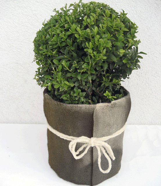 Winterschutzmatte aus Schafwolle in Naturbraun, B: 200 cm, T: 20 cm - Bild 1