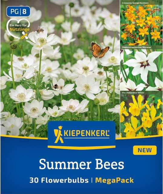 Kiepenkerl Blumenzwiebelmischung Summer Bees, bunt, 30 Stück - Bild 1