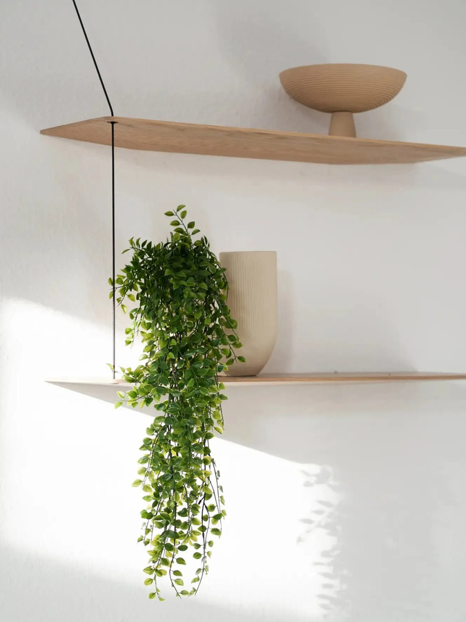 Künstlicher Hänge Kletterficus Keno von artplants in Grün, Höhe: 80 cm - Bild 2