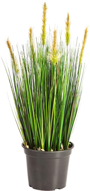 Künstlicher Fuchsschwanz Peter von Aplanta, Länge: 60 cm - Bild 1
