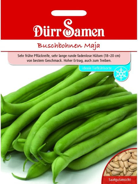 Dürr Buschbohnen Maja Saatgut 155 g - Bild 1