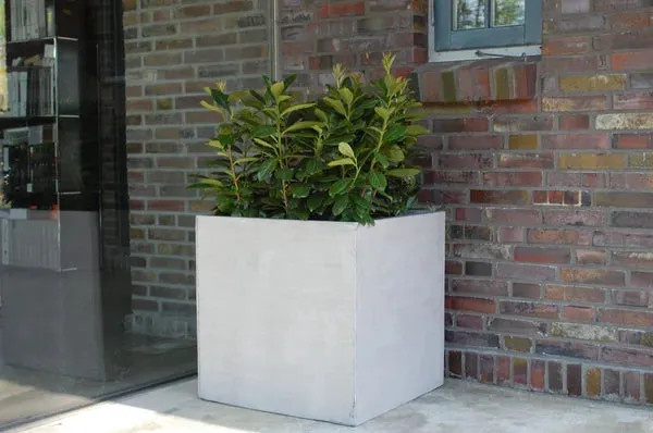 Pflanzkübel Aplanta in Grau im Beton-Design, B/T/H: 60 x 60 x 60 cm - Bild 2